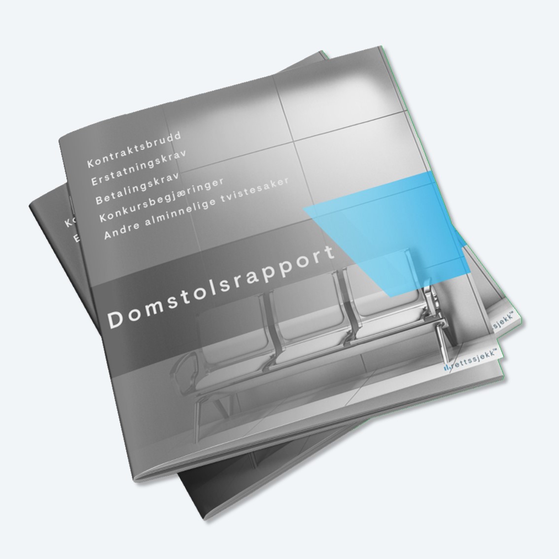 Domstolsrapport_grey